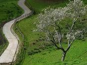 Venerdí Photosatriani