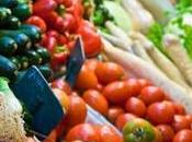 libertad buena libre Mosca Mediterráneo.