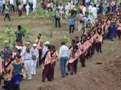 Voluntarios India plantaron millones árboles
