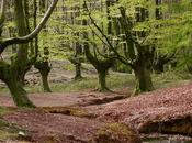 Venerdí Photosatriani