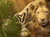 adorable “hombre león” protagoniza nuevo spot IKEA Reino Unido