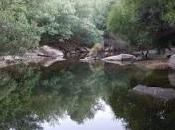 RESUCITANDO, volviendo nacer