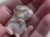 cuidador había enterado