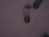 Santiago bajo nieve