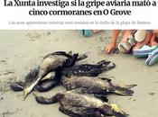 Curso ética periodística: blanco botella suele leche