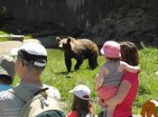 Hotel Jaca para visitar parque faunístico Parc’Ours