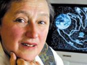 éxito sobrevivir toda costa: Mitocondrias