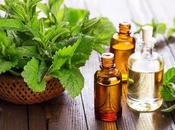 Beneficios para salud aceite menta hierbabuena