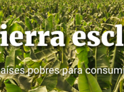 tierra esclava: investigación innovación entre continentes