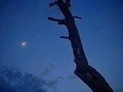 Mengua luna, como vida