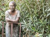 Cómo usar desconocida pestaña Revelado rápido Adobe Lightroom