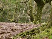 Venerdí Photosatriani