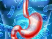 ¿Cuáles virus propician gastroenteritis?