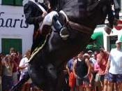 Fiestas Sant Joan Menorca