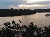 viaje películas libros