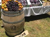 realiza primer “Vendimia Potosina 2017”