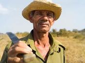 Light L16, “híbrido” cámara móvil objetivos Mpíxeles, empieza realidad