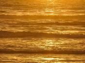Olas líquido
