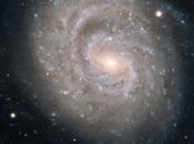galaxia espiral 1637