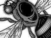 abejas humanas
