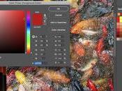 Photoshop!’, nueva serie Adobe tutoriales Photoshop para principiantes