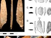 Maestros Edad Piedra: Neandertales podrían haber enseñado sorprendentes técnicas nuestros antepasados