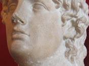 perro Alcibiades