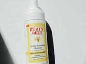 Gentle Foaming Cleanser Jalea Real Burt's Bees, limpieza reinas.