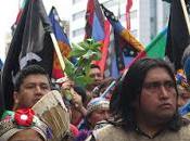 Sobre mapuches reclamos. Rolando Haglin