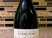 Terrunyo Syrah 2009