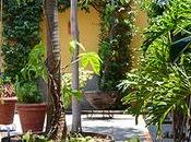 Casa Patios, hotel tradición Sayula