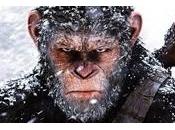apocalyse monkey