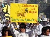 Apicultores chilenos marcharon protesta mortandad abejas.