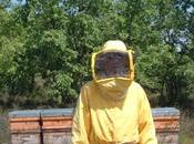 Mientras europa tiene apicultores profesionales, españa posee 17,6%.