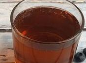 kombucha potente regulador intestinal inmunitario