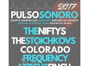 Pulso Sonoro 2017