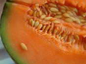 Smoothie melon cataloup grosellas