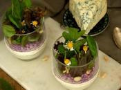 Crema queso cabrales, corazón quesos asturianos