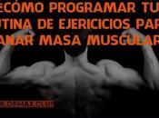 ¿Cómo Programar Rutina Ejercicios para Ganar Masa Muscular?