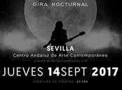 Amaral Nocturama Sevilla