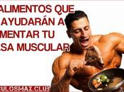 Alimentos deben Dieta para Aumentar Masa Muscular