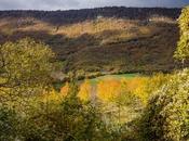 Colores otoño Urbasa