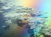 Vuelo…