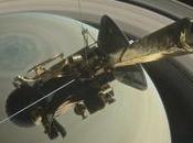 Viernes dando nota #219: Farewell