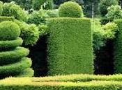 simbolismo soñar seto.