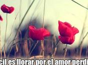 imagenes hermosas frases para llorar amor desamor