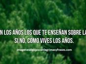 Descarga cuatro imagenes bonitas frases amor vida