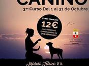 Edición Curso básico adiestramiento canino