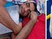 Cuando verano caluroso Fotos graciosas