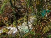 Aguas cristalinas